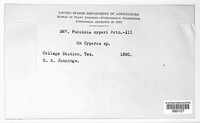 Image Associated With the Occurence
